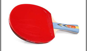紅雙喜DHS A3002 一款均衡實(shí)用的入門級(jí)橫拍雙反膠乒乓球拍